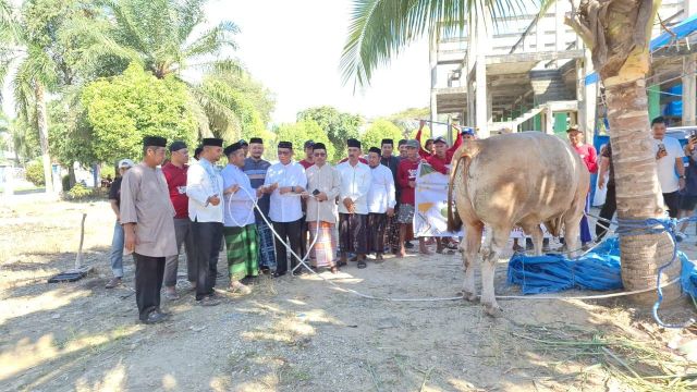 Sapi 925 Kg Bantuan Presiden Diserahkan Wakil Bupati Koltim ke Warga Penanggo Jaya