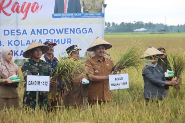 Bupati Koltim Panen Raya di Andowengga