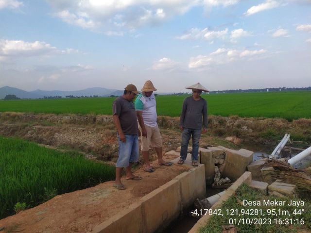 Pemda Koltim Tangani Sawah Kering di Dangia