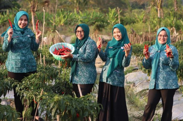 Hartini Azis Yakin, Tanaman Cabai Mampu Tingkatkan Ekonomi Masyarakat