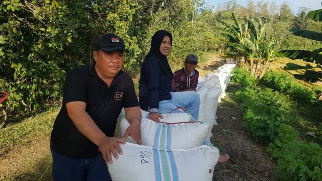 Bendung Diperbaiki, Petani Tumbudadio Nikmati Panen Melimpah