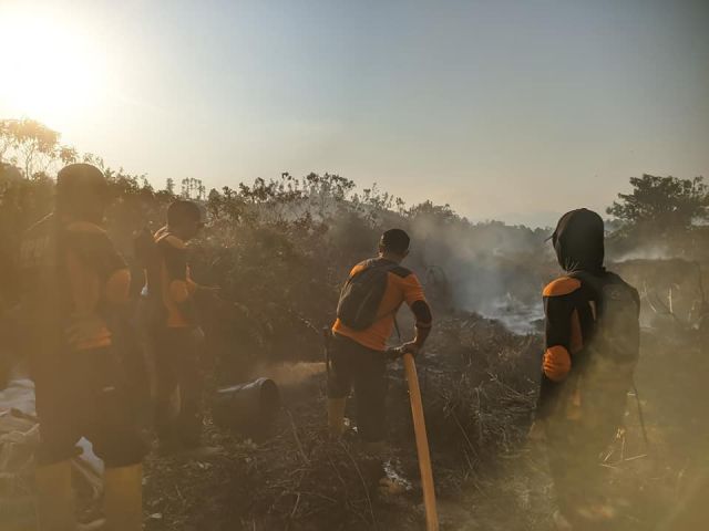 BPBD Koltim Terus Padamkan Karhutla di Wesalo