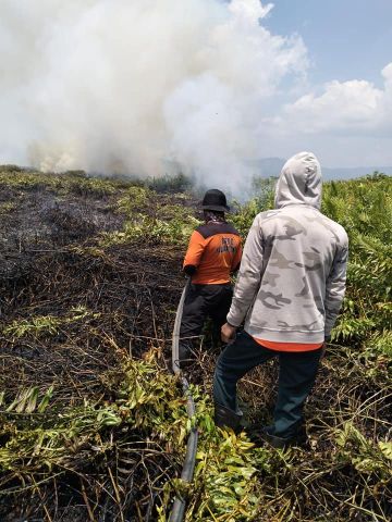 Lintas Sektor Bersama Padamkan Karhutla Wesalo