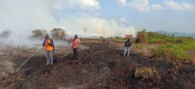 Karhutla Wesalo Terus Berkurang