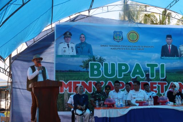 Bupati Sapa Petani di Kelurahan Ladongi