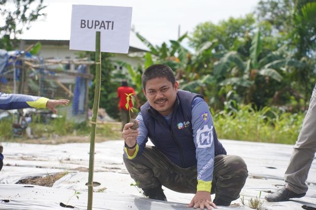Bupati Hadiri Gerakan Tanam Cabai Nelombu