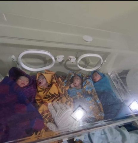 Pemda Koltim Gerak Cepat Bantu Warga yang Lahirkan Kembar Empat
