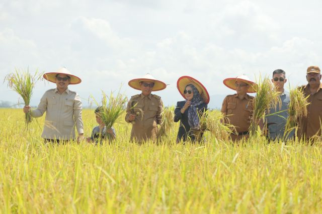 Bupati dan Wakil Bupati Koltim Panen Raya di Mekar Jaya