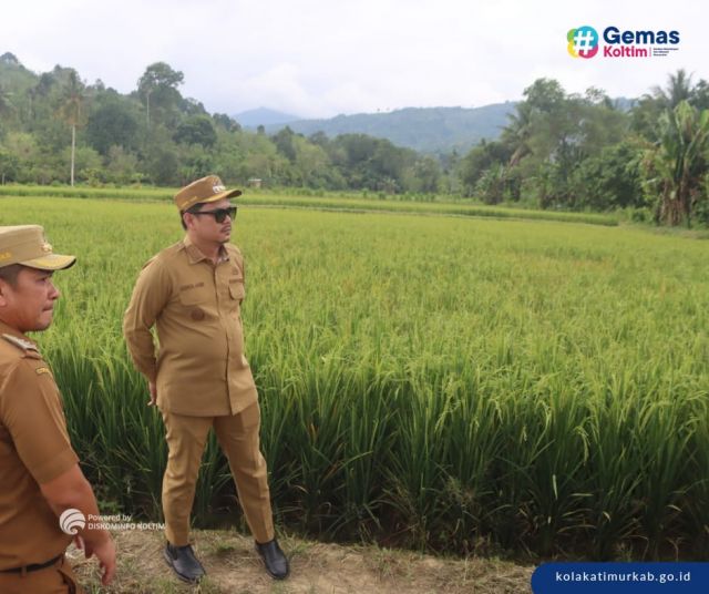 Koltim Daerah Pertama Dikunjungi Tim PKE Setwapres