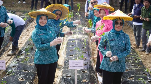Gerakan Tanam Cabai di Desa Tumbudadio: Sinergi Pemkab Kolaka Timur dalam Penguatan Ketahanan Pangan dan Pengendalian Inflasi Daerah